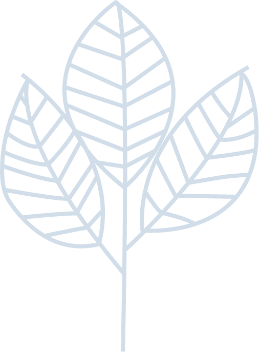 bg_leaf